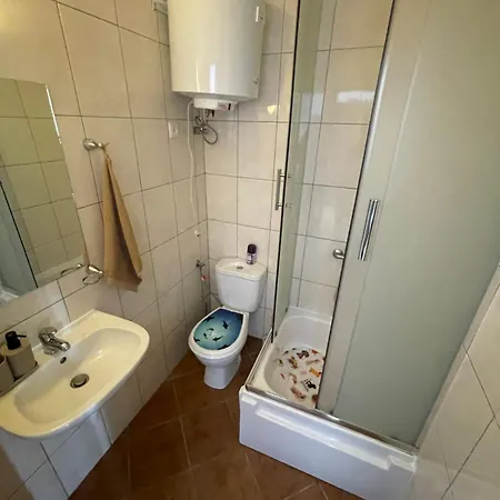 בית הארחה Pensjonat Rowy *